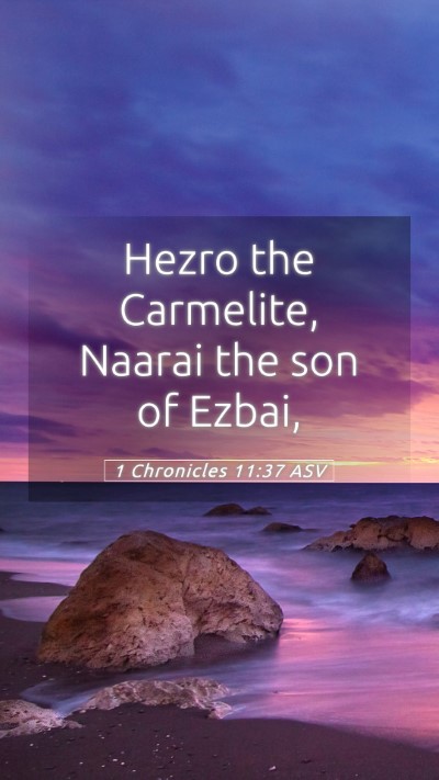 Picture 05 - 1 Chronicles 11:37 ASV Mobile Phone Wallpaper - Hezro the Carmelite, Naarai the son of - Mobile Bible Verse Wallpaper
