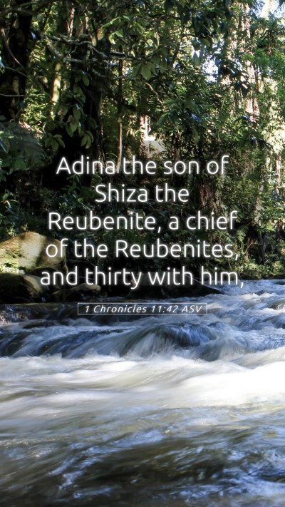 Picture 05 - 1 Chronicles 11:42 ASV Mobile Phone Wallpaper - Adina the son of Shiza the Reubenite, a chief of - Mobile Bible Verse Wallpaper