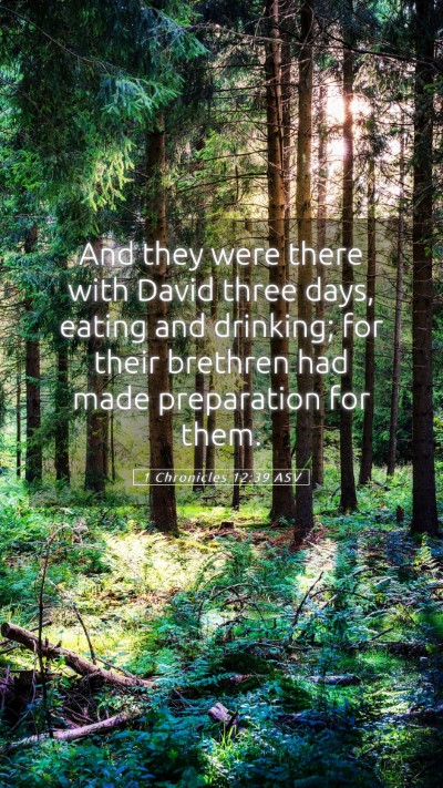 Picture 05 - 1 Chronicles 12:39 ASV Mobile Phone Wallpaper - And they were there with David three days, eating - Mobile Bible Verse Wallpaper
