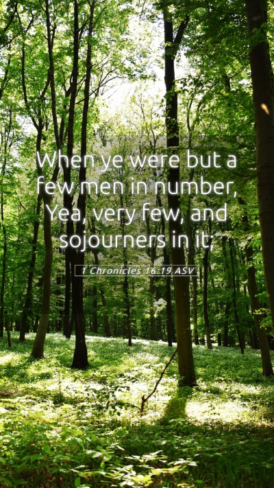 Picture 05 - 1 Chronicles 16:19 ASV Mobile Phone Wallpaper - When ye were but a few men in number, Yea, very - Mobile Bible Verse Wallpaper