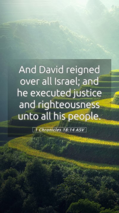 Picture 05 - 1 Chronicles 18:14 ASV Mobile Phone Wallpaper - And David reigned over all Israel; and he - Mobile Bible Verse Wallpaper