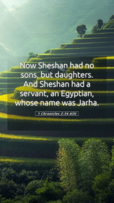 Picture 05 - 1 Chronicles 2:34 ASV Mobile Phone Wallpaper - Now Sheshan had no sons, but daughters. And - Mobile Bible Verse Wallpaper