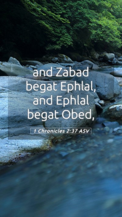 Picture 05 - 1 Chronicles 2:37 ASV Mobile Phone Wallpaper - and Zabad begat Ephlal, and Ephlal begat - Mobile Bible Verse Wallpaper