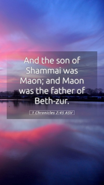Picture 05 - 1 Chronicles 2:45 ASV Mobile Phone Wallpaper - And the son of Shammai was Maon; and Maon was the - Mobile Bible Verse Wallpaper