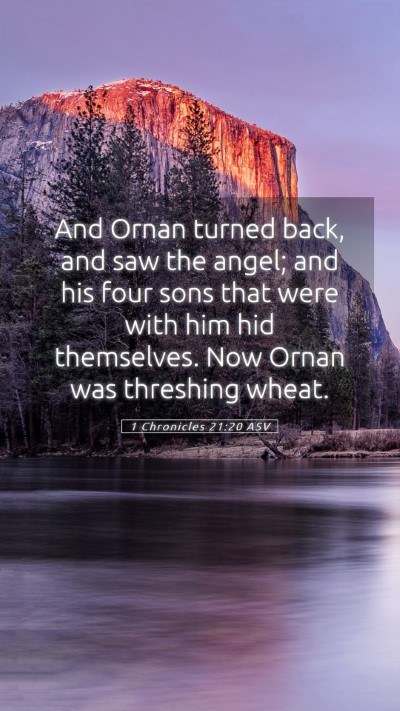 Picture 05 - 1 Chronicles 21:20 ASV Mobile Phone Wallpaper - And Ornan turned back, and saw the angel; and his - Mobile Bible Verse Wallpaper