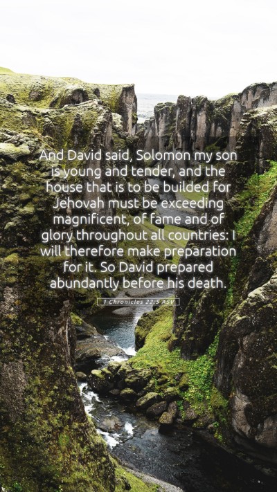 Picture 05 - 1 Chronicles 22:5 ASV Mobile Phone Wallpaper - And David said, Solomon my son is young and - Mobile Bible Verse Wallpaper