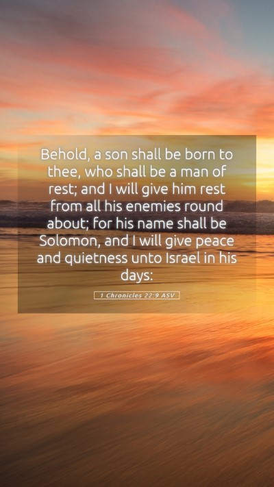 Picture 05 - 1 Chronicles 22:9 ASV Mobile Phone Wallpaper - Behold, a son shall be born to thee, who shall be - Mobile Bible Verse Wallpaper