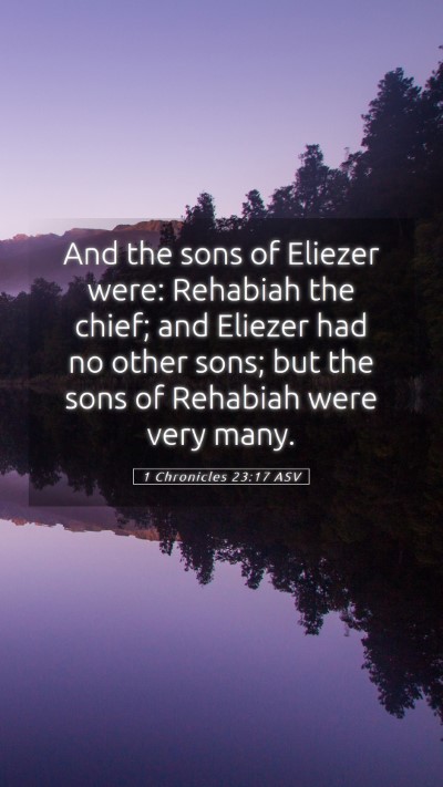 Picture 05 - 1 Chronicles 23:17 ASV Mobile Phone Wallpaper - And the sons of Eliezer were: Rehabiah the chief; - Mobile Bible Verse Wallpaper