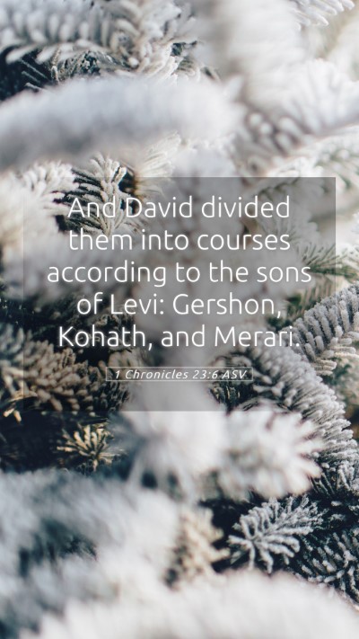 Picture 05 - 1 Chronicles 23:6 ASV Mobile Phone Wallpaper - And David divided them into courses according to - Mobile Bible Verse Wallpaper
