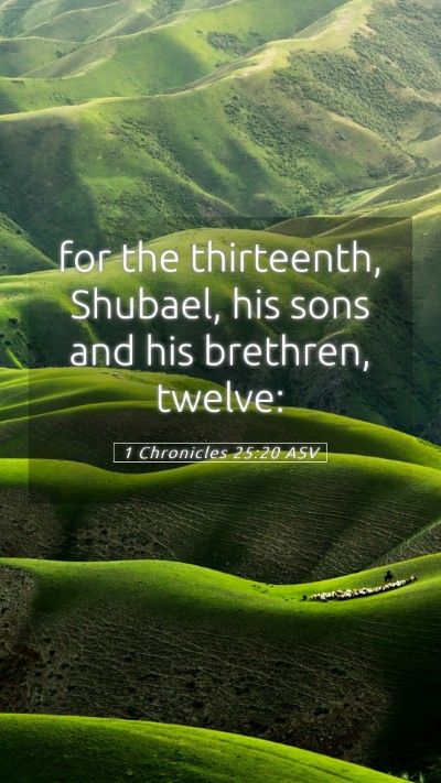Picture 05 - 1 Chronicles 25:20 ASV Mobile Phone Wallpaper - for the thirteenth, Shubael, his sons and his - Mobile Bible Verse Wallpaper