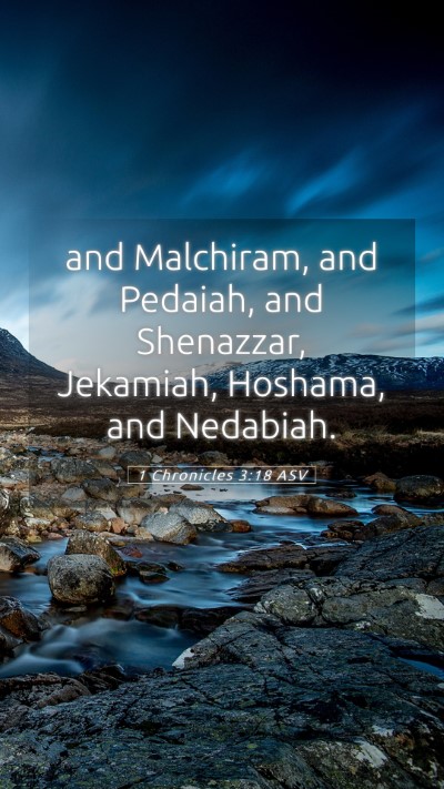 Picture 05 - 1 Chronicles 3:18 ASV Mobile Phone Wallpaper - and Malchiram, and Pedaiah, and Shenazzar, - Mobile Bible Verse Wallpaper