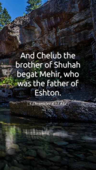 Picture 05 - 1 Chronicles 4:11 ASV Mobile Phone Wallpaper - And Chelub the brother of Shuhah begat Mehir, who - Mobile Bible Verse Wallpaper