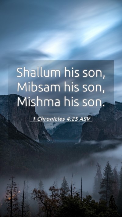 Picture 05 - 1 Chronicles 4:25 ASV Mobile Phone Wallpaper - Shallum his son, Mibsam his son, Mishma his - Mobile Bible Verse Wallpaper