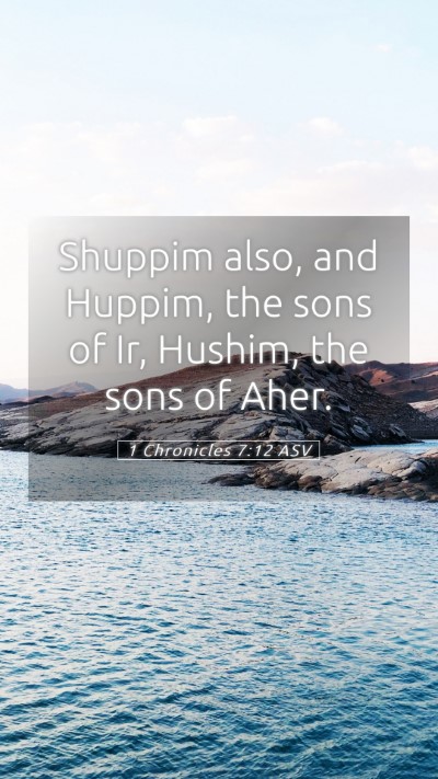 Picture 05 - 1 Chronicles 7:12 ASV Mobile Phone Wallpaper - Shuppim also, and Huppim, the sons of Ir, Hushim, - Mobile Bible Verse Wallpaper