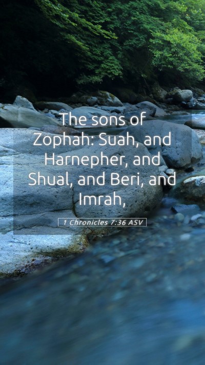 Picture 05 - 1 Chronicles 7:36 ASV Mobile Phone Wallpaper - The sons of Zophah: Suah, and Harnepher, and - Mobile Bible Verse Wallpaper