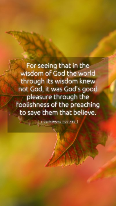 Picture 05 - 1 Corinthians 1:21 ASV Mobile Phone Wallpaper - For seeing that in the wisdom of God the world - Mobile Bible Verse Wallpaper