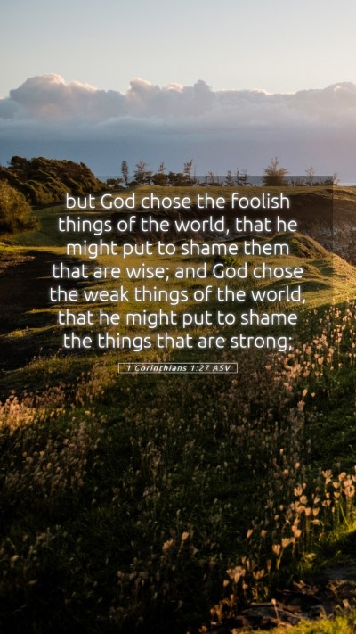 Picture 05 - 1 Corinthians 1:27 ASV Mobile Phone Wallpaper - but God chose the foolish things of the world, - Mobile Bible Verse Wallpaper