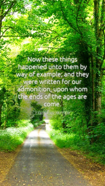 Picture 05 - 1 Corinthians 10:11 ASV Mobile Phone Wallpaper - Now these things happened unto them by way of - Mobile Bible Verse Wallpaper