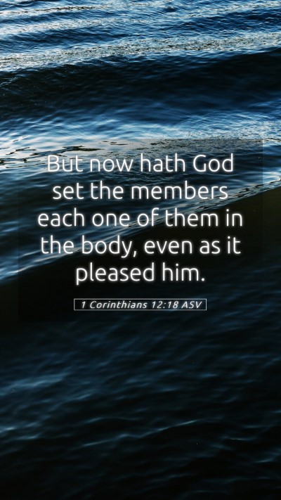 Picture 05 - 1 Corinthians 12:18 ASV Mobile Phone Wallpaper - But now hath God set the members each one of them - Mobile Bible Verse Wallpaper