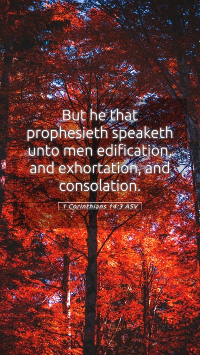 Picture 05 - 1 Corinthians 14:3 ASV Mobile Phone Wallpaper - But he that prophesieth speaketh unto men - Mobile Bible Verse Wallpaper