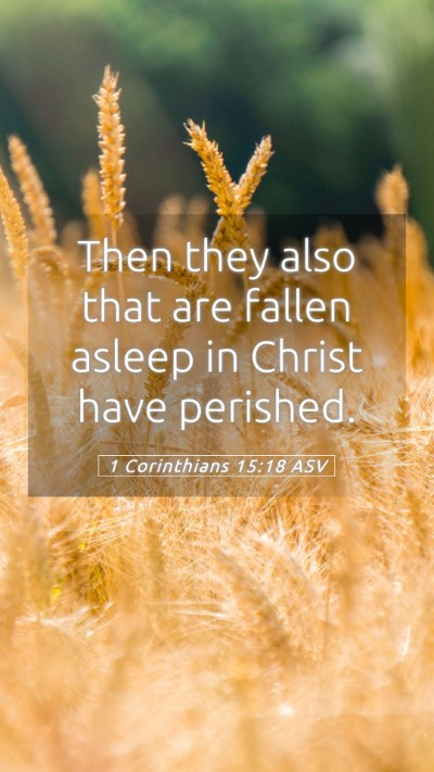 Picture 05 - 1 Corinthians 15:18 ASV Mobile Phone Wallpaper - Then they also that are fallen asleep in Christ - Mobile Bible Verse Wallpaper