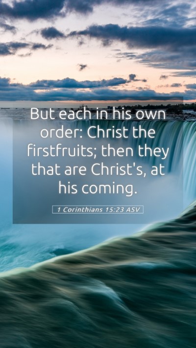 Picture 05 - 1 Corinthians 15:23 ASV Mobile Phone Wallpaper - But each in his own order: Christ the - Mobile Bible Verse Wallpaper