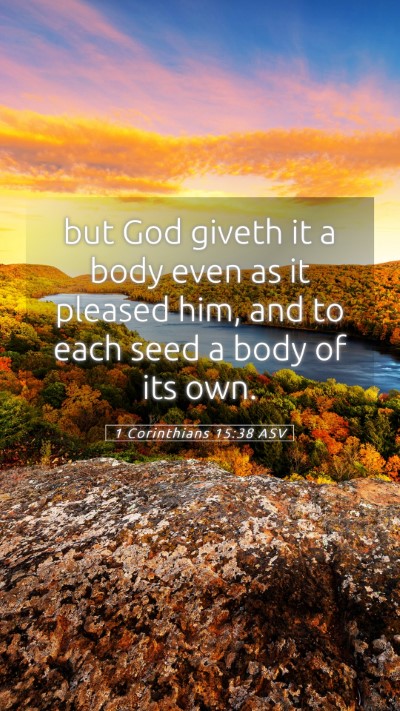 Picture 05 - 1 Corinthians 15:38 ASV Mobile Phone Wallpaper - but God giveth it a body even as it pleased him, - Mobile Bible Verse Wallpaper
