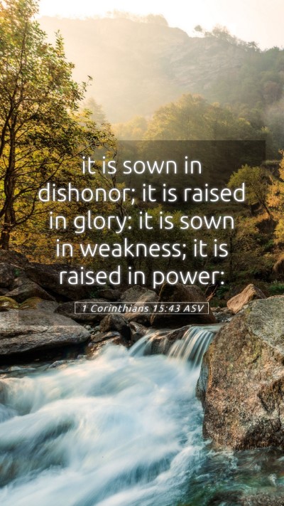 Picture 05 - 1 Corinthians 15:43 ASV Mobile Phone Wallpaper - it is sown in dishonor; it is raised in glory: it - Mobile Bible Verse Wallpaper