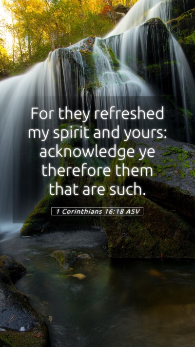 Picture 05 - 1 Corinthians 16:18 ASV Mobile Phone Wallpaper - For they refreshed my spirit and yours: - Mobile Bible Verse Wallpaper