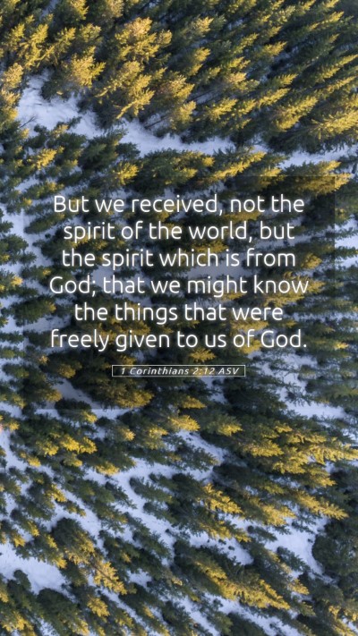 Picture 05 - 1 Corinthians 2:12 ASV Mobile Phone Wallpaper - But we received, not the spirit of the world, but - Mobile Bible Verse Wallpaper