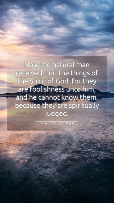 Picture 05 - 1 Corinthians 2:14 ASV Mobile Phone Wallpaper - Now the natural man receiveth not the things of - Mobile Bible Verse Wallpaper