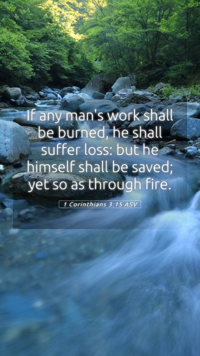 Picture 05 - 1 Corinthians 3:15 ASV Mobile Phone Wallpaper - If any man's work shall be burned, he shall - Mobile Bible Verse Wallpaper