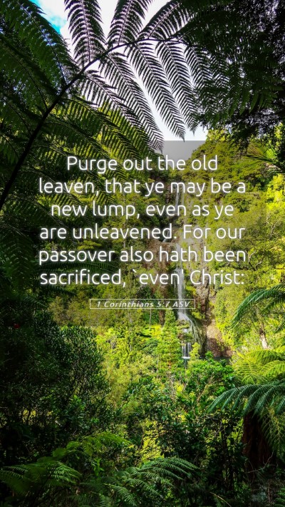 Picture 05 - 1 Corinthians 5:7 ASV Mobile Phone Wallpaper - Purge out the old leaven, that ye may be a new - Mobile Bible Verse Wallpaper
