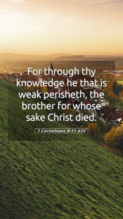 Picture 05 - 1 Corinthians 8:11 ASV Mobile Phone Wallpaper - For through thy knowledge he that is weak - Mobile Bible Verse Wallpaper