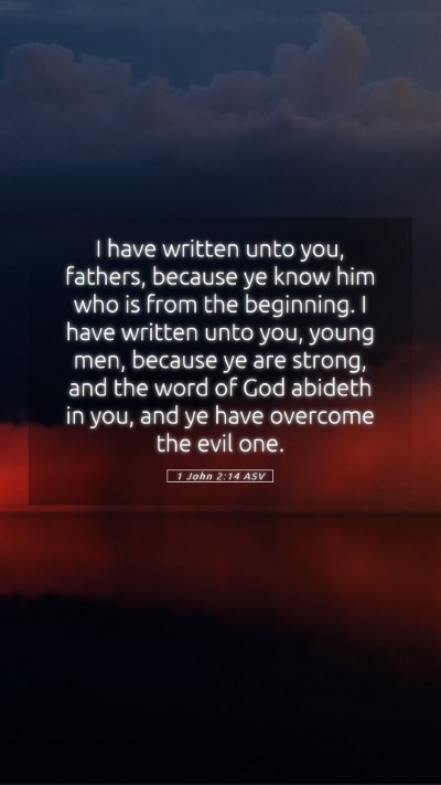 Picture 05 - 1 John 2:14 ASV Mobile Phone Wallpaper - I have written unto you, fathers, because ye know - Mobile Bible Verse Wallpaper