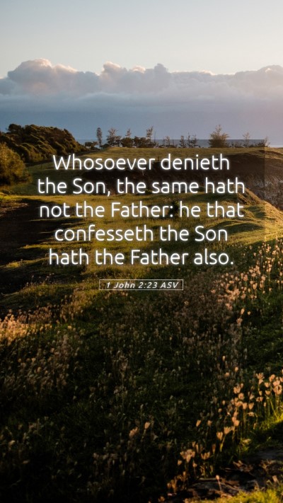 Picture 05 - 1 John 2:23 ASV Mobile Phone Wallpaper - Whosoever denieth the Son, the same hath not the - Mobile Bible Verse Wallpaper