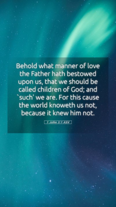 Picture 05 - 1 John 3:1 ASV Mobile Phone Wallpaper - Behold what manner of love the Father hath - Mobile Bible Verse Wallpaper