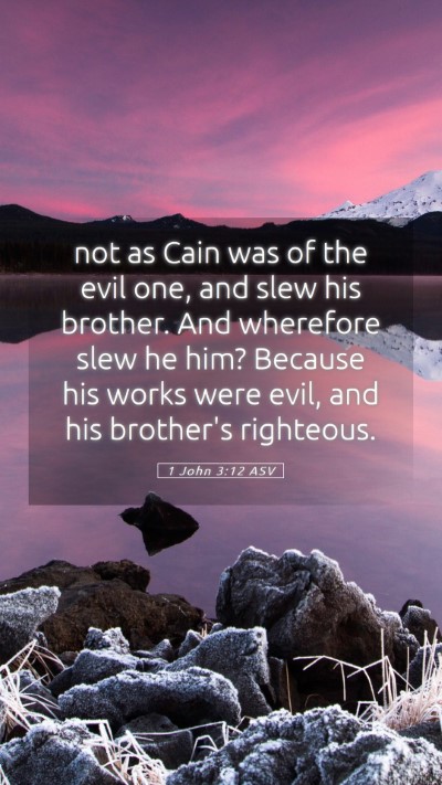 Picture 05 - 1 John 3:12 ASV Mobile Phone Wallpaper - not as Cain was of the evil one, and slew his - Mobile Bible Verse Wallpaper