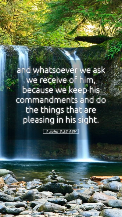 Picture 05 - 1 John 3:22 ASV Mobile Phone Wallpaper - and whatsoever we ask we receive of him, because - Mobile Bible Verse Wallpaper