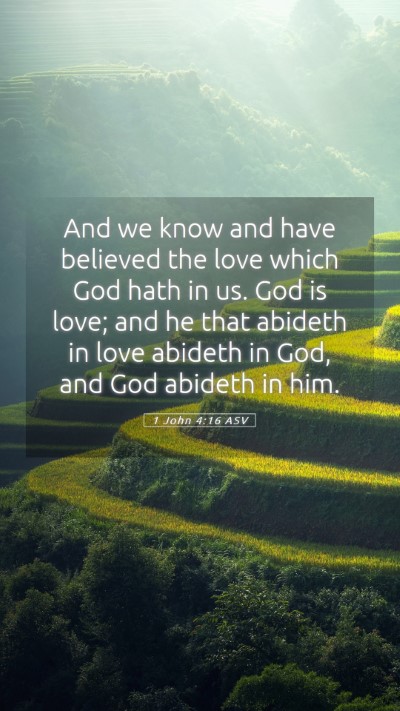 Picture 05 - 1 John 4:16 ASV Mobile Phone Wallpaper - And we know and have believed the love which God - Mobile Bible Verse Wallpaper