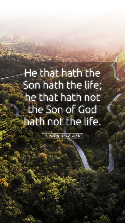 Picture 05 - 1 John 5:12 ASV Mobile Phone Wallpaper - He that hath the Son hath the life; he that hath - Mobile Bible Verse Wallpaper