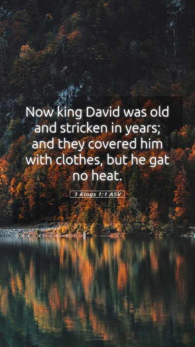 Picture 05 - 1 Kings 1:1 ASV Mobile Phone Wallpaper - Now king David was old and stricken in years; and - Mobile Bible Verse Wallpaper