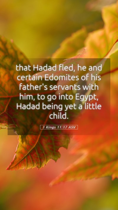 Picture 05 - 1 Kings 11:17 ASV Mobile Phone Wallpaper - that Hadad fled, he and certain Edomites of his - Mobile Bible Verse Wallpaper