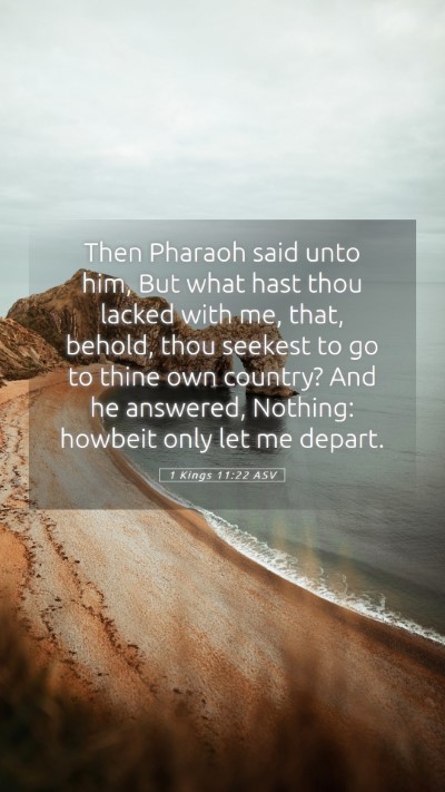 Picture 05 - 1 Kings 11:22 ASV Mobile Phone Wallpaper - Then Pharaoh said unto him, But what hast thou - Mobile Bible Verse Wallpaper