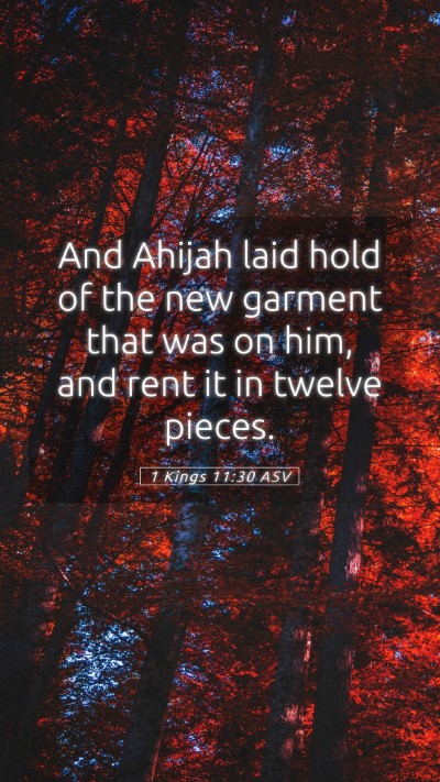Picture 05 - 1 Kings 11:30 ASV Mobile Phone Wallpaper - And Ahijah laid hold of the new garment that was - Mobile Bible Verse Wallpaper