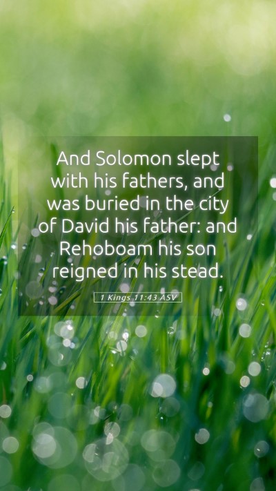 Picture 05 - 1 Kings 11:43 ASV Mobile Phone Wallpaper - And Solomon slept with his fathers, and was - Mobile Bible Verse Wallpaper