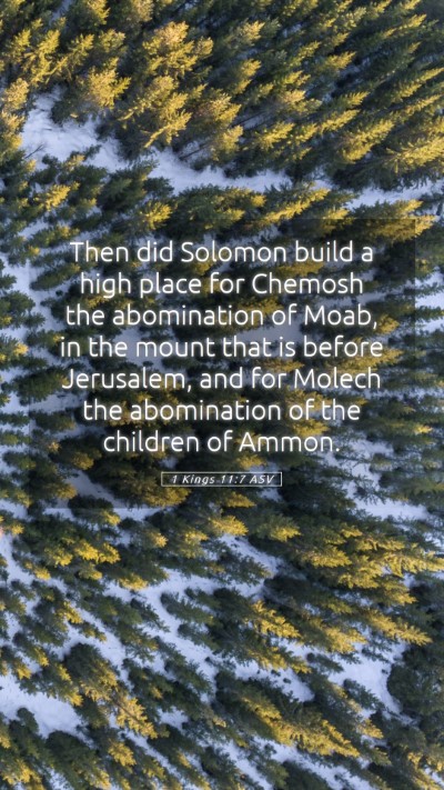 Picture 05 - 1 Kings 11:7 ASV Mobile Phone Wallpaper - Then did Solomon build a high place for Chemosh - Mobile Bible Verse Wallpaper