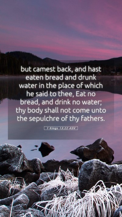 Picture 05 - 1 Kings 13:22 ASV Mobile Phone Wallpaper - but camest back, and hast eaten bread and drunk - Mobile Bible Verse Wallpaper