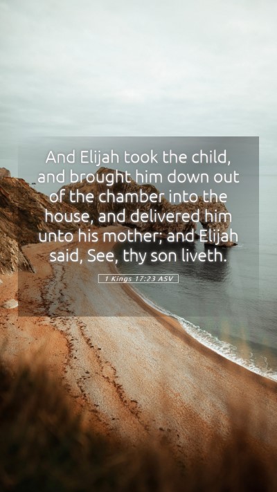 Picture 05 - 1 Kings 17:23 ASV Mobile Phone Wallpaper - And Elijah took the child, and brought him down - Mobile Bible Verse Wallpaper