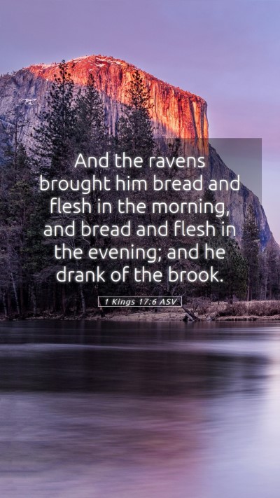 Picture 05 - 1 Kings 17:6 ASV Mobile Phone Wallpaper - And the ravens brought him bread and flesh in the - Mobile Bible Verse Wallpaper